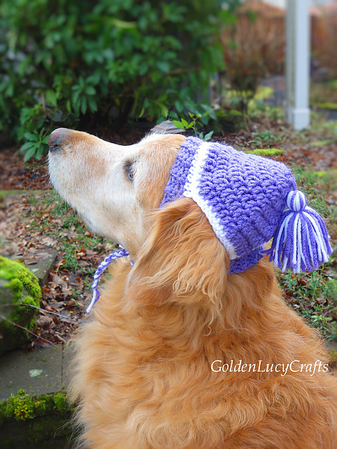 Free dog hat crochet pattern 