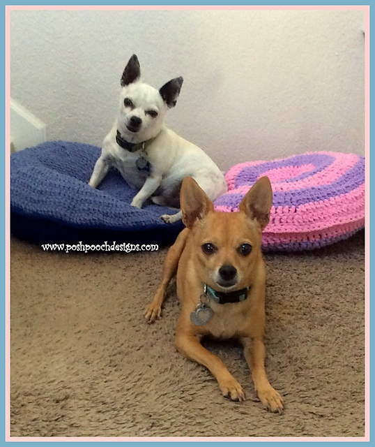 Free dog bed crochet pattern
