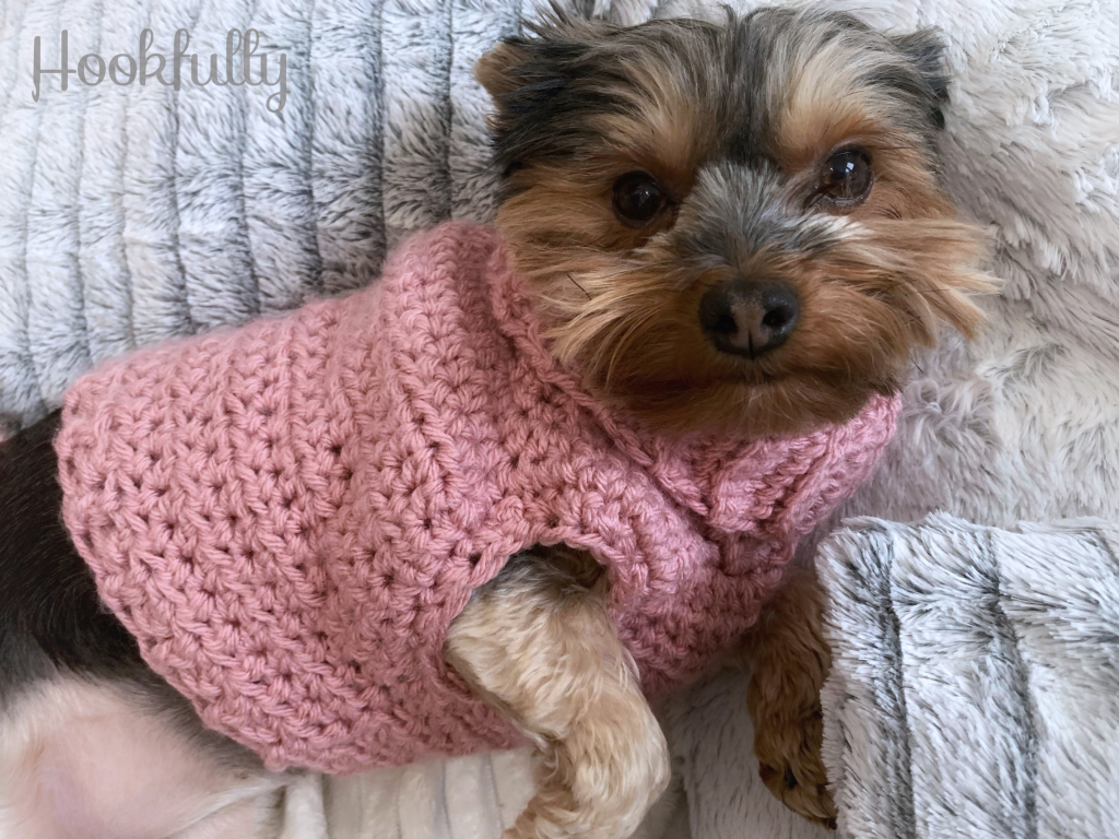 Free dog sweater crochet pattern