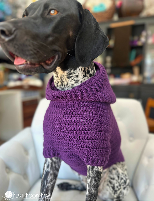 Free dog hoody crochet pattern